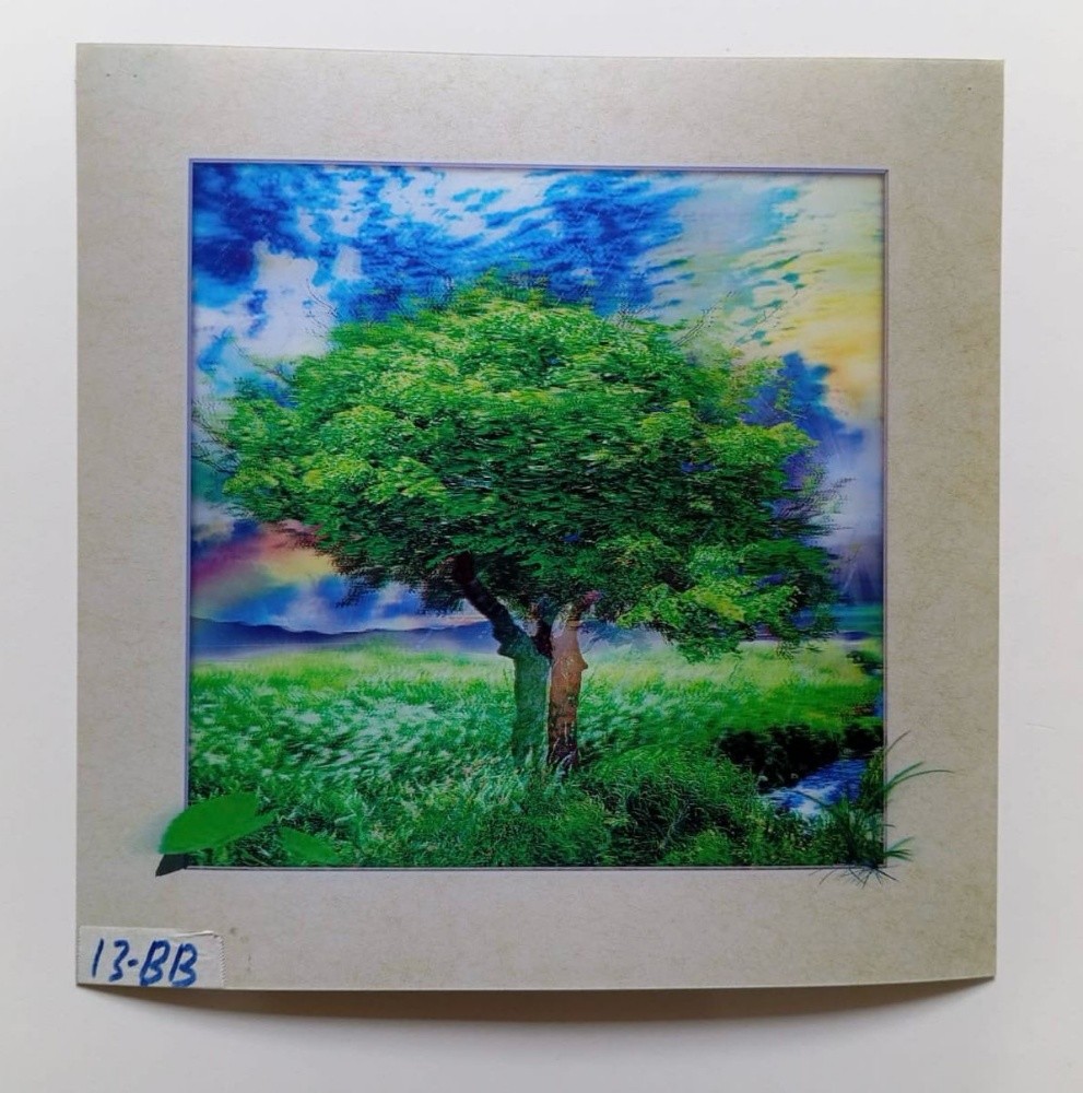 3d lenticular pictures - 10