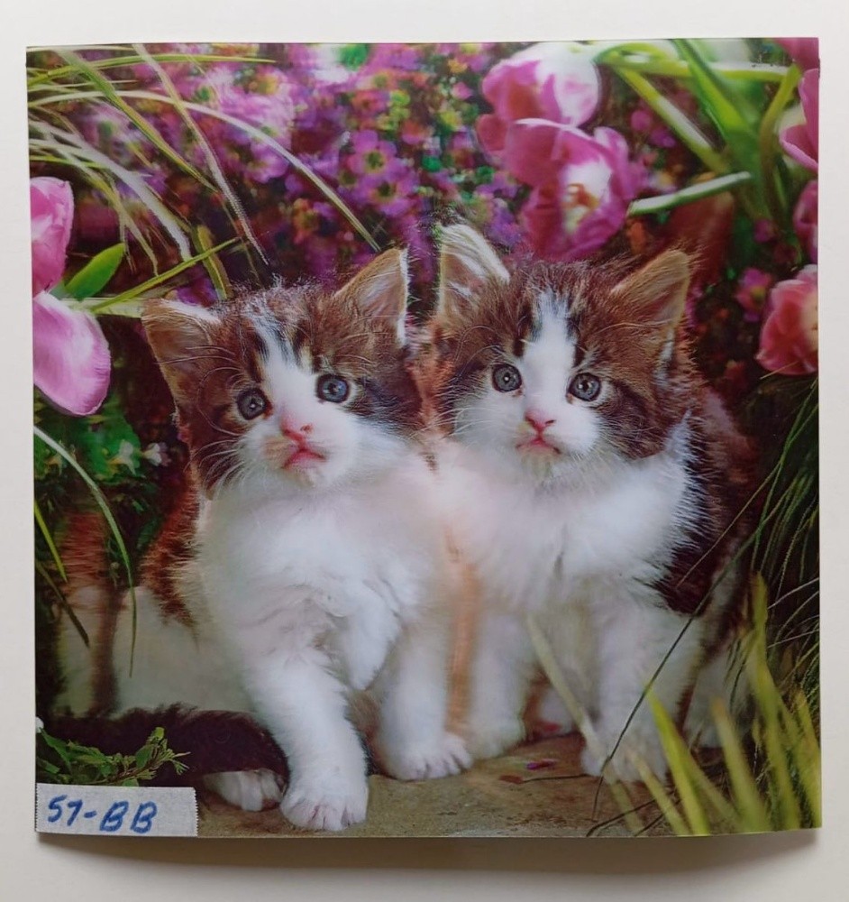 3d lenticular pictures - 14