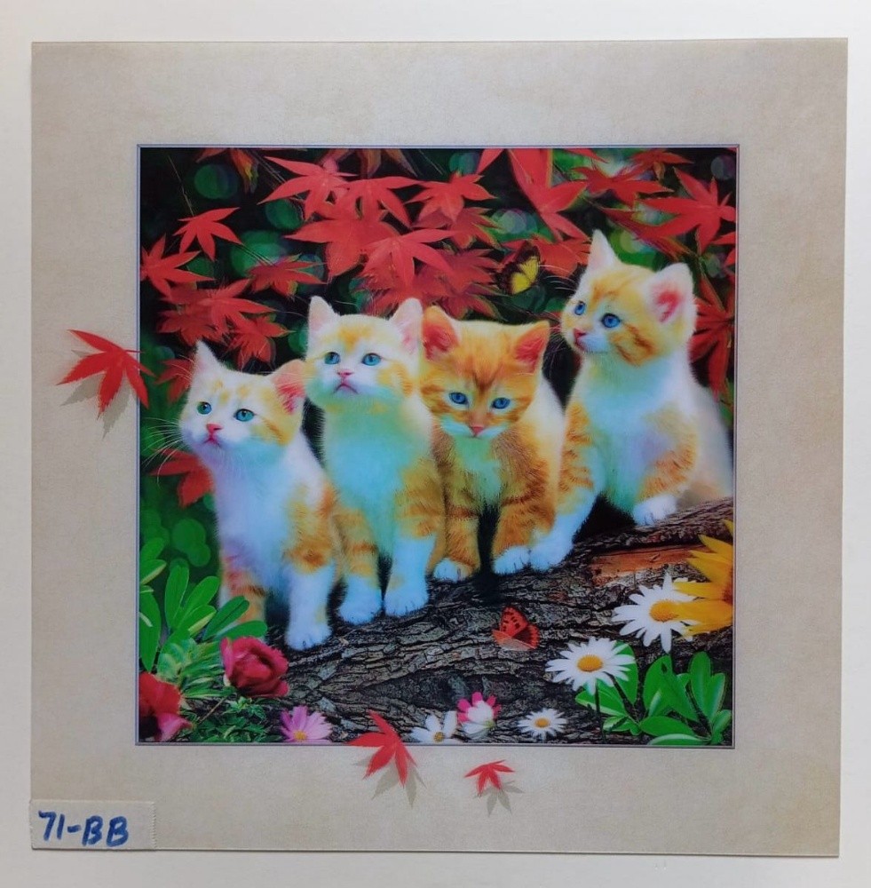 3d lenticular pictures - 7