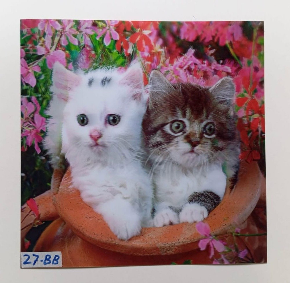 3d lenticular pictures - 3