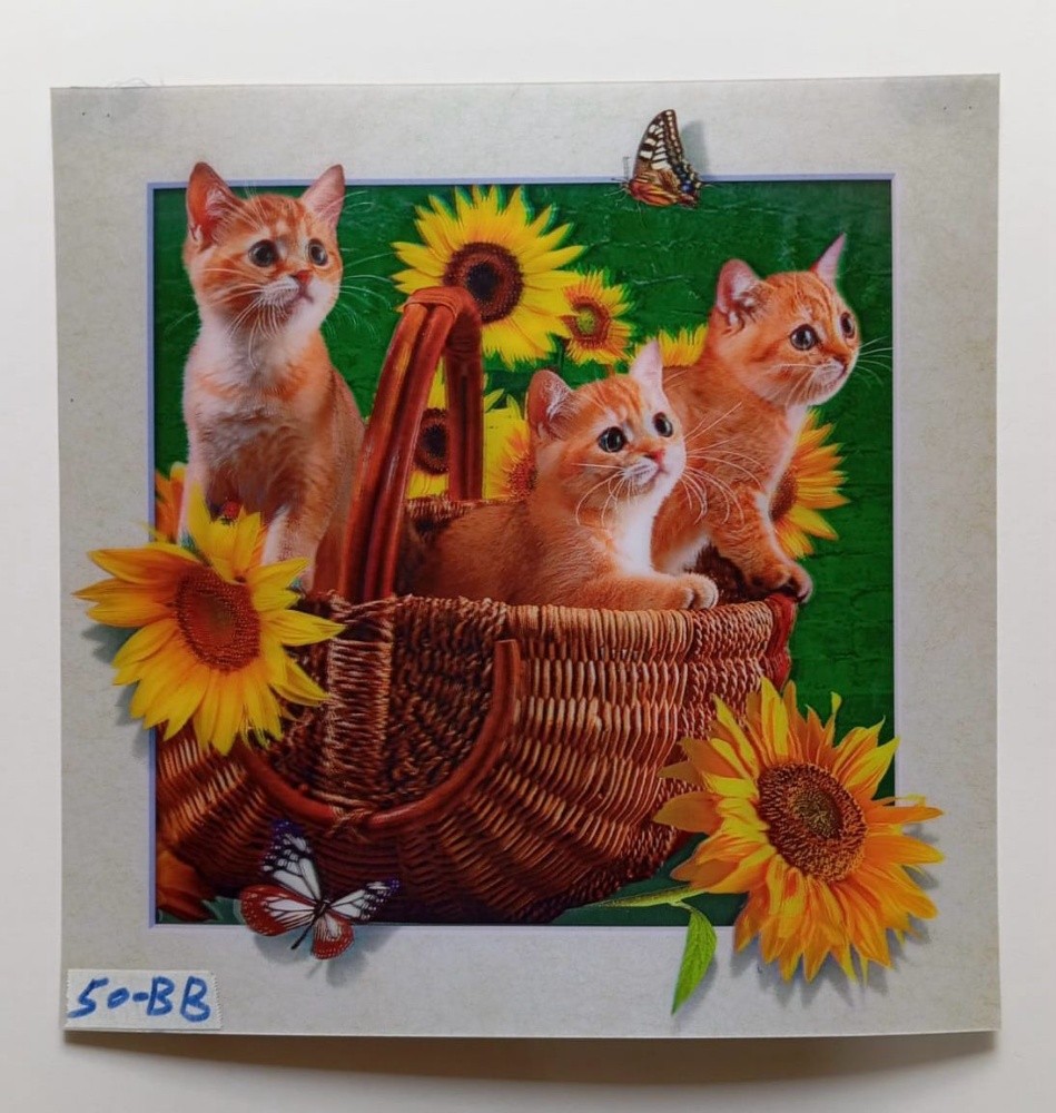 3d lenticular pictures - 6