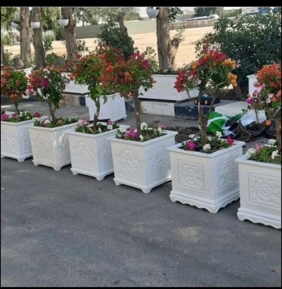 توريد و زراعة الأحواض - 1