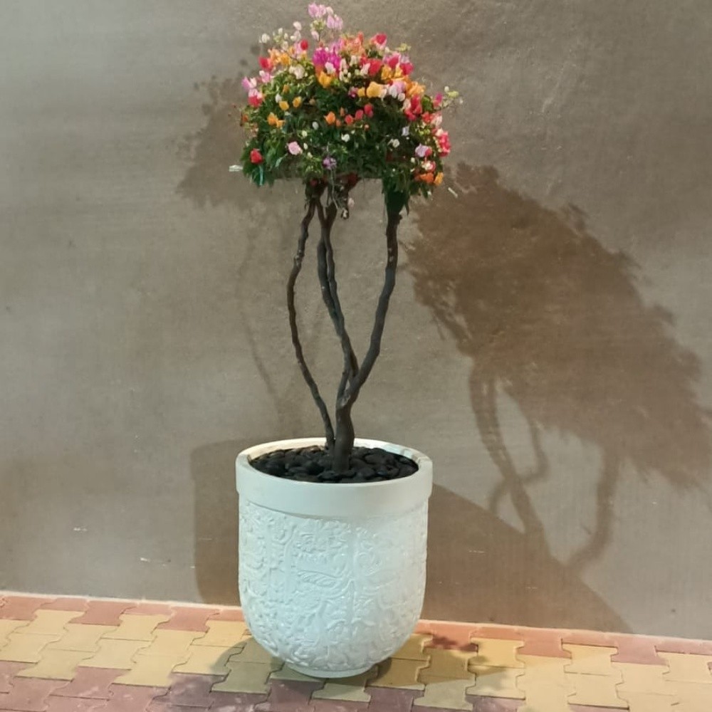 توريد و زراعة الأحواض - 9