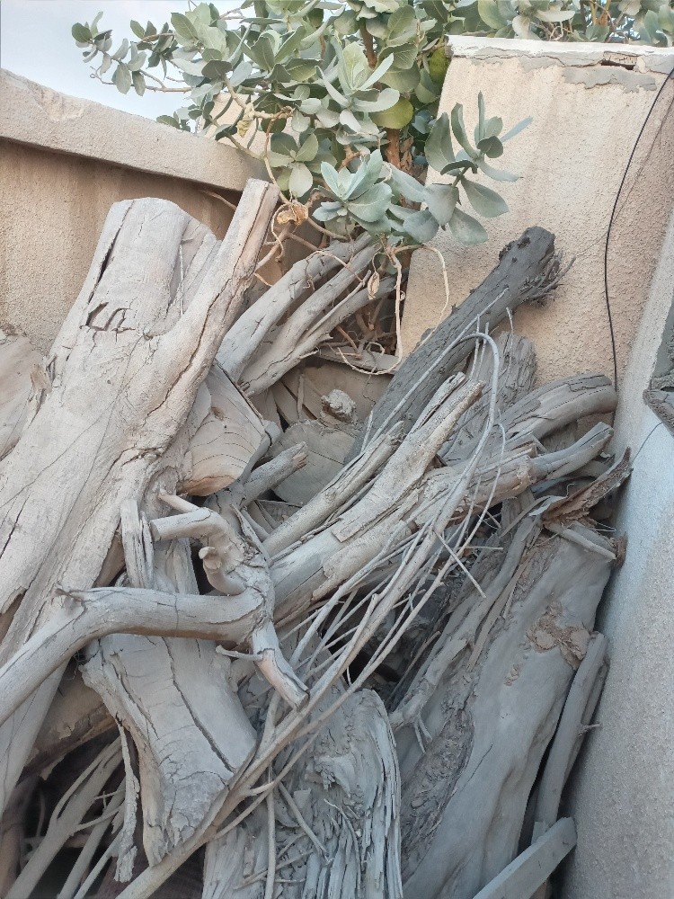 حطب - 3