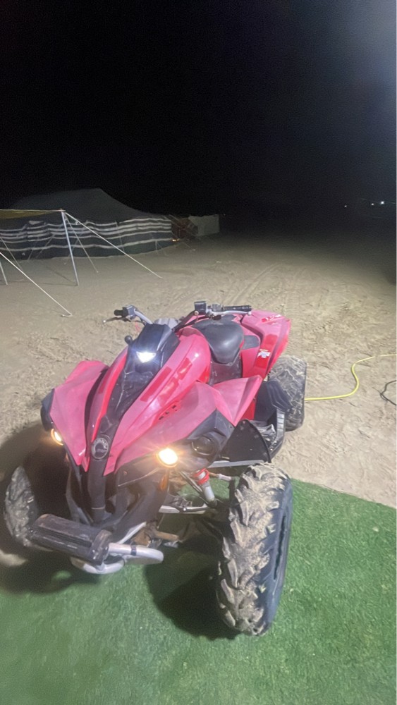 can am renegade - 1