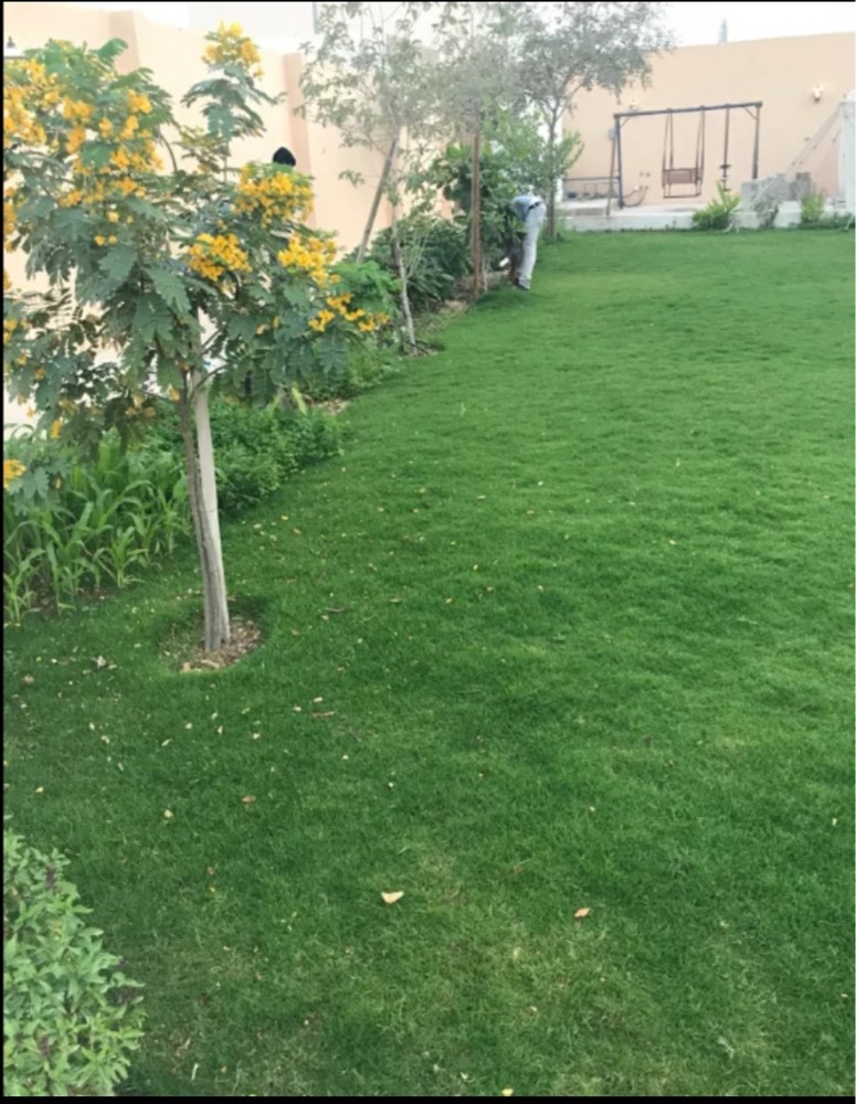 أبو علي - 1