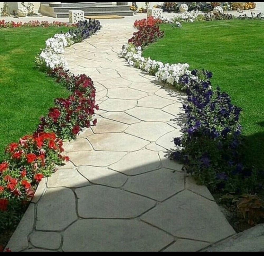 أبو علي - 3