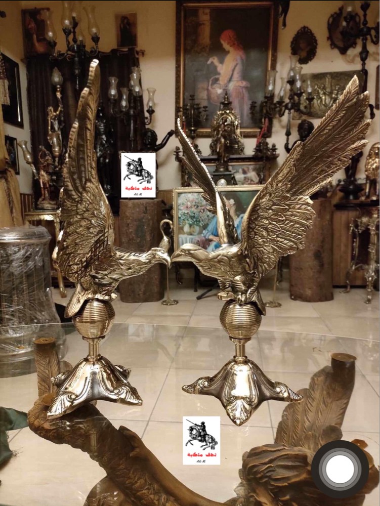 النسور  - 1