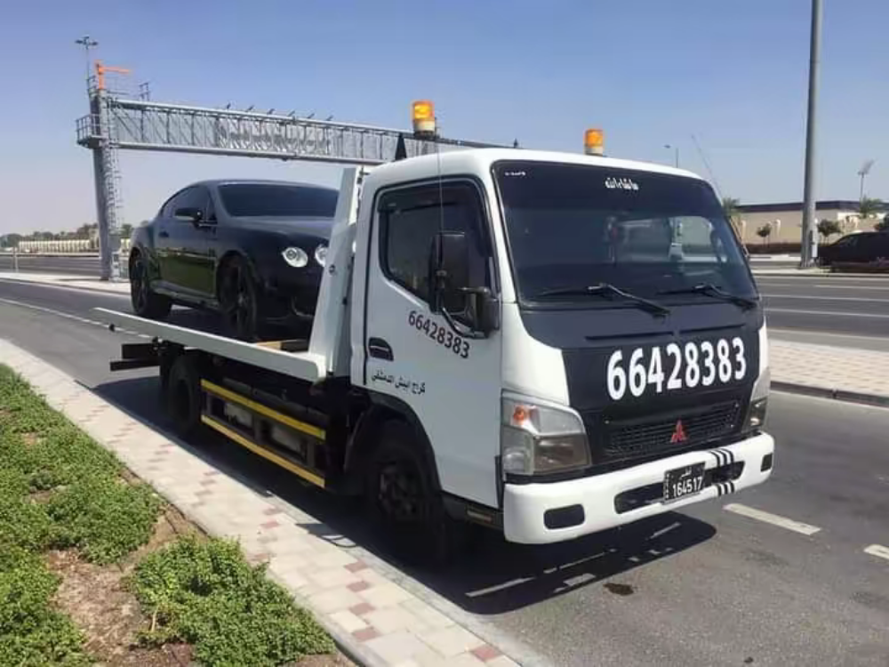 بركدون سطحة قطر - 1
