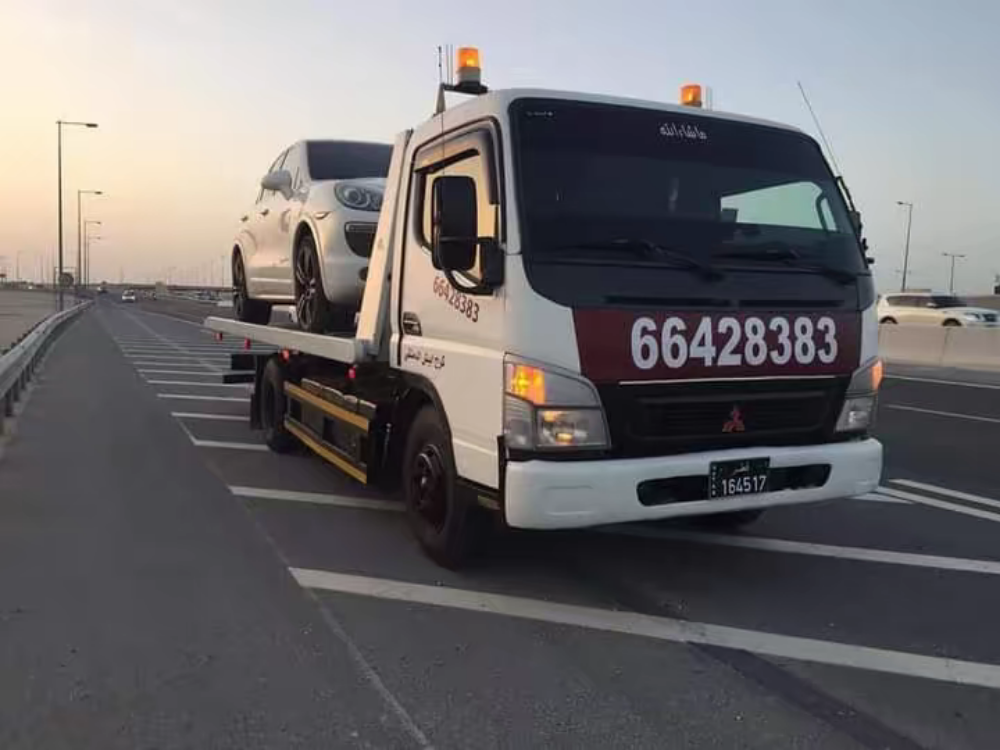 بركدون سطحة قطر - 2