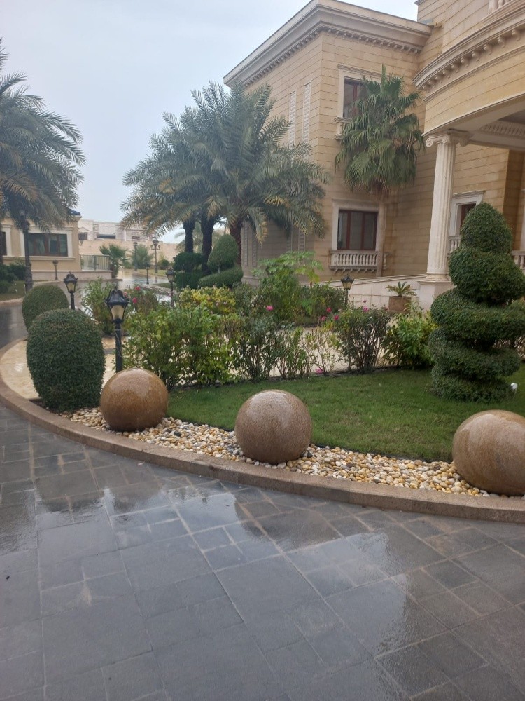 زراعه اشجار الزينه - 4