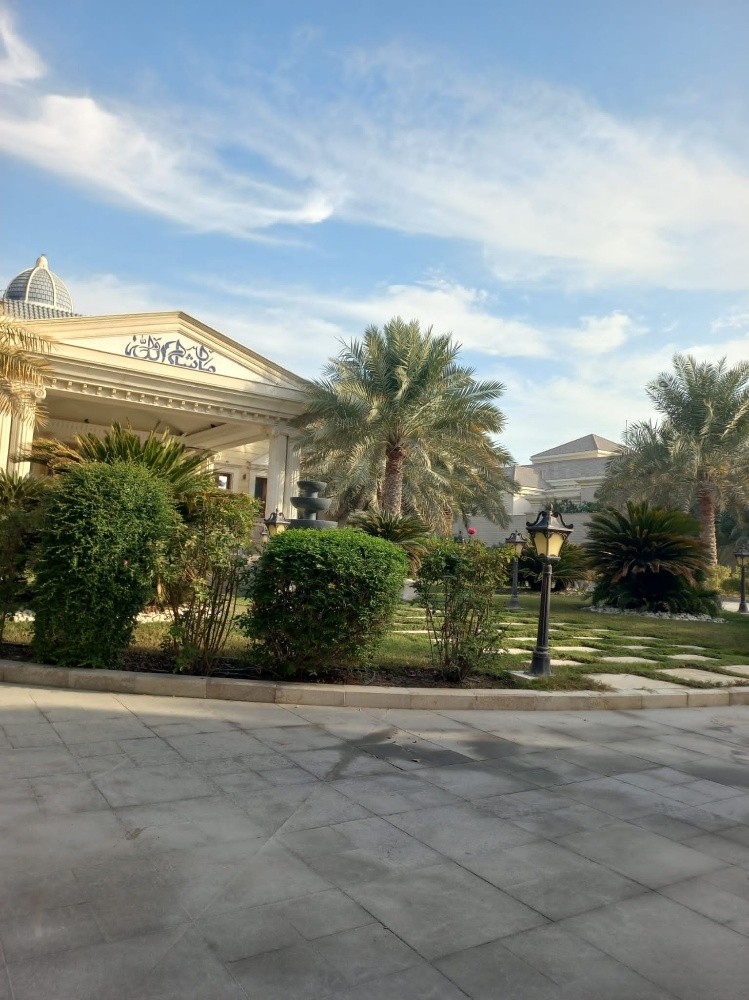 زراعه اشجار الزينه - 3
