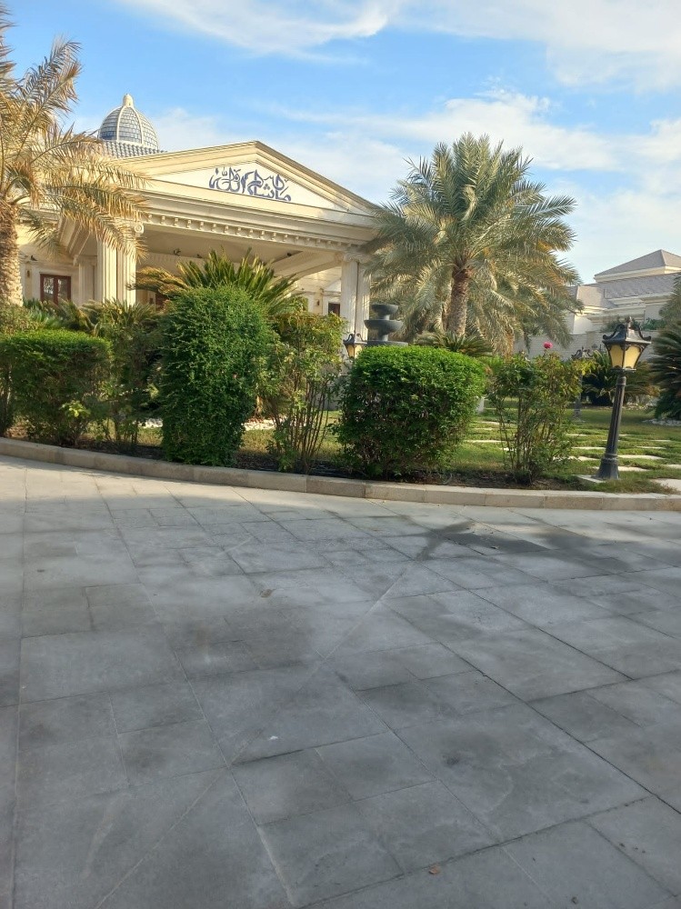 زراعه اشجار الزينه - 2
