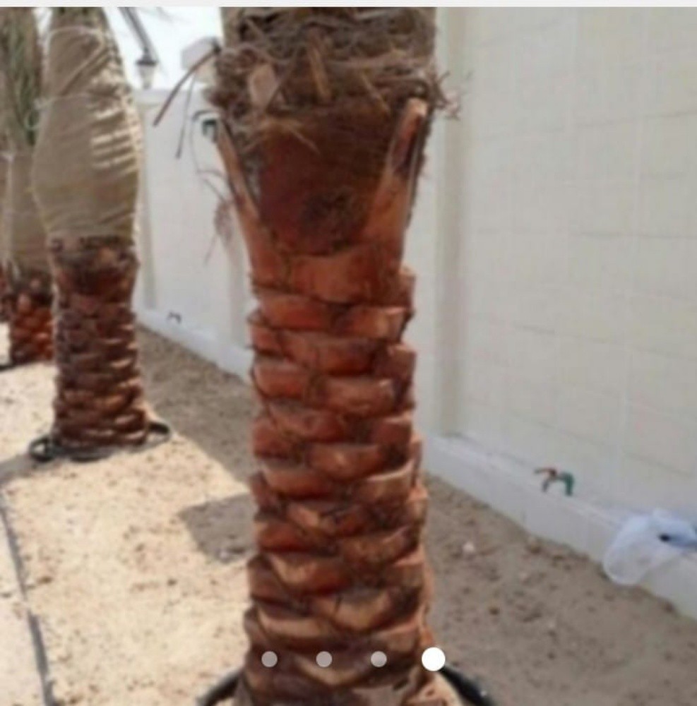 تركيب الانترلوك الكربستون - 8