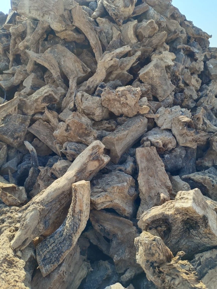 حطب بسعار ممتازه زيتوان - 5