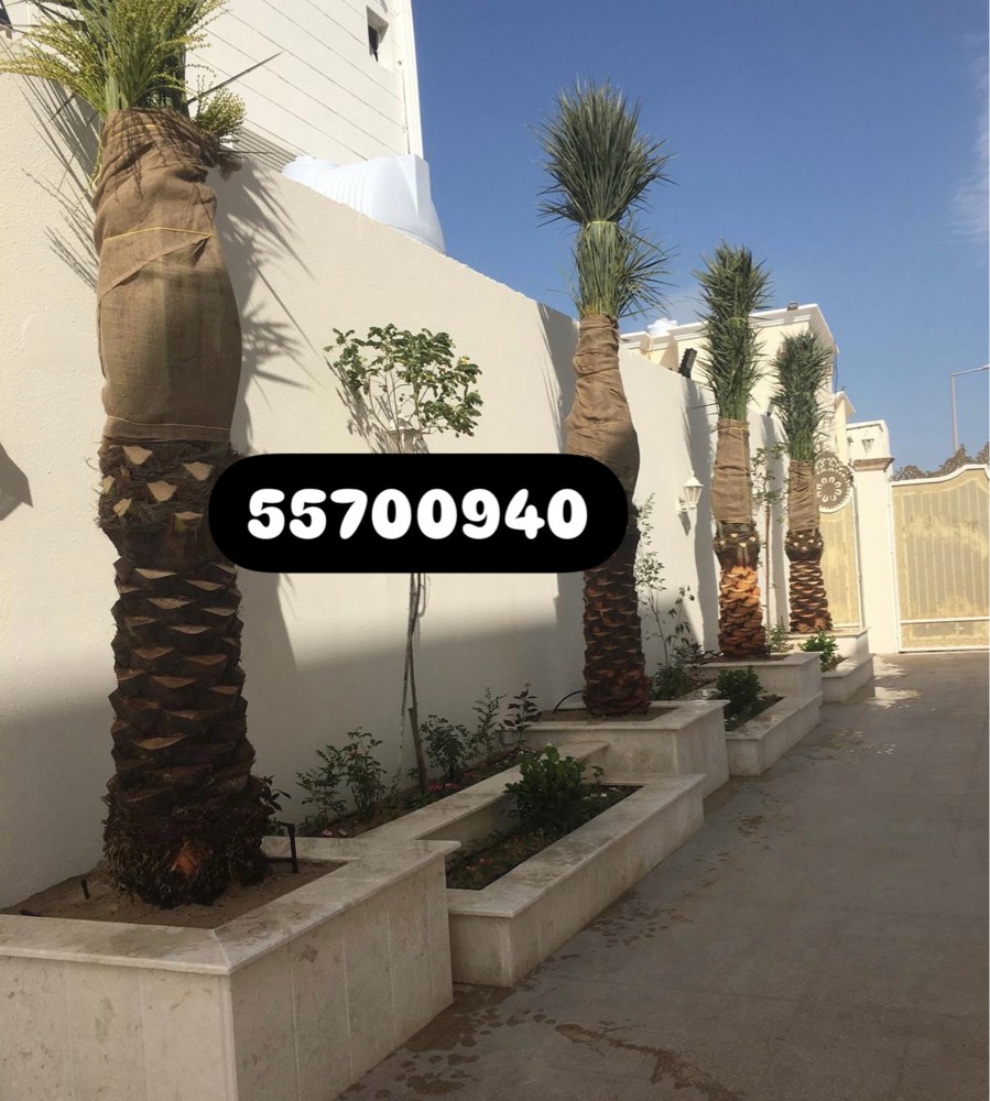 مزارع لتنسيق الحدائق - 3