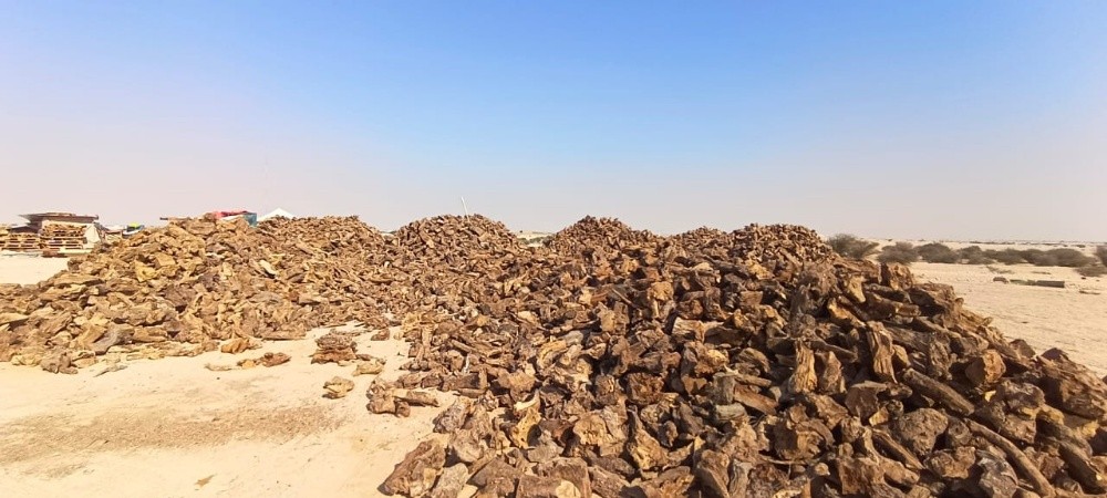حطب - 1