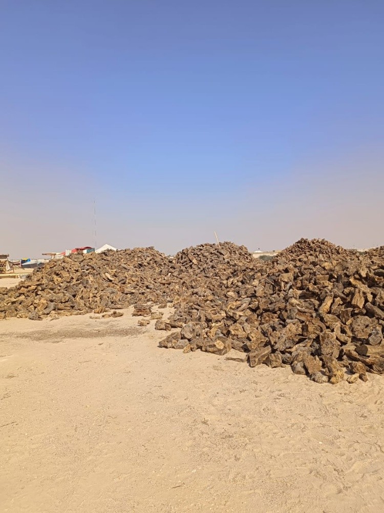 حطب - 2