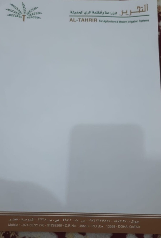الصبية - 3