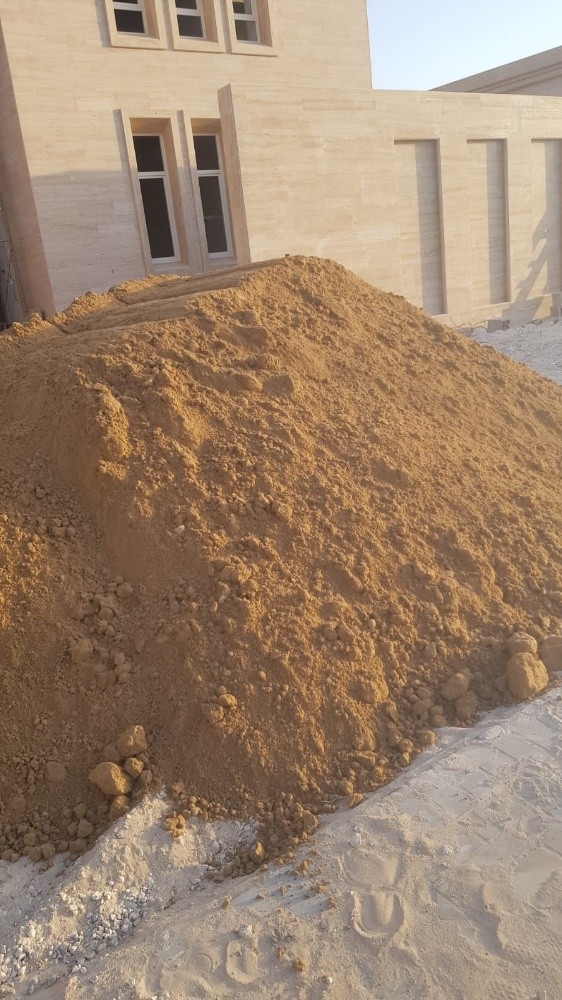 زراعه جميع انواع النخيل 55079950 - 3