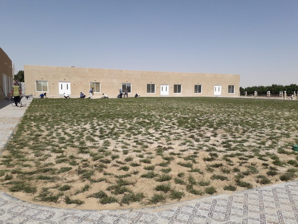 تنظيف وتركيب النخيل 55079950 - 2