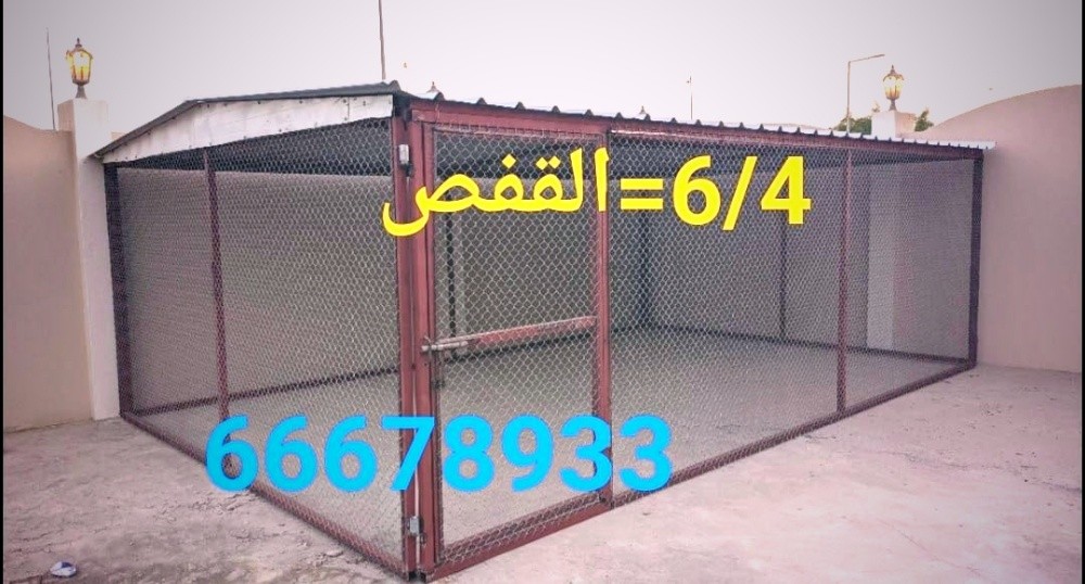 6/4=القفص - 3
