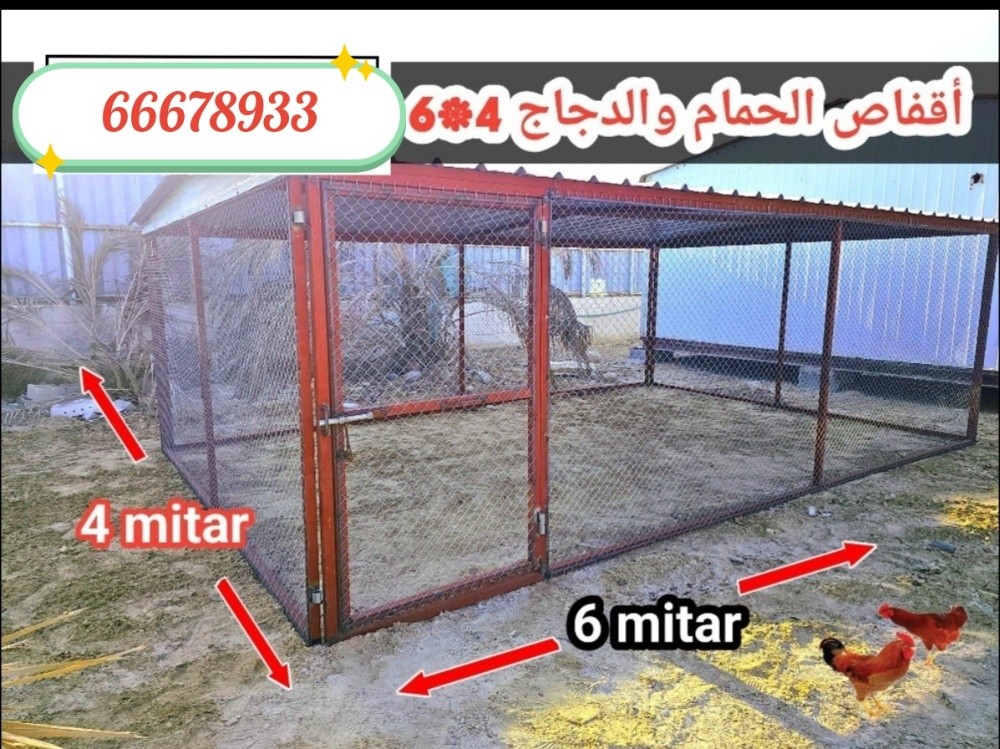 6/4=القفص - 2