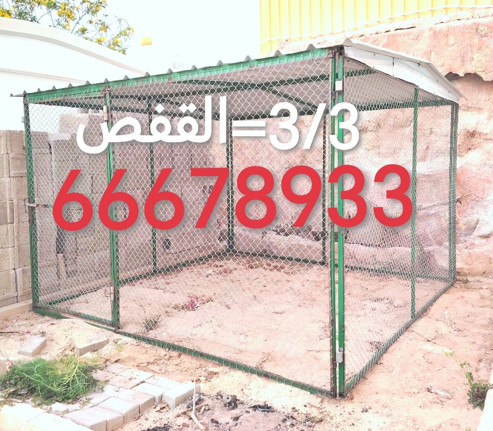 3/3=القفص - 3