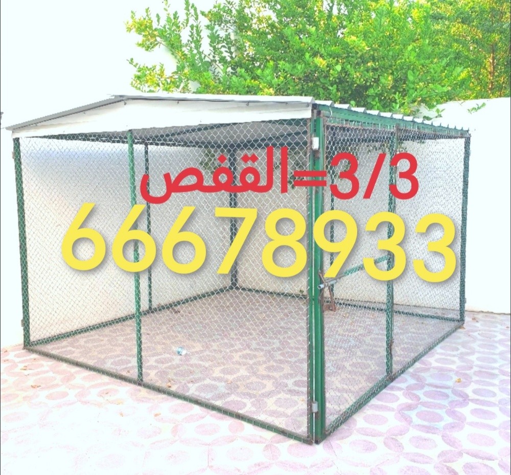 3/3=القفص - 4