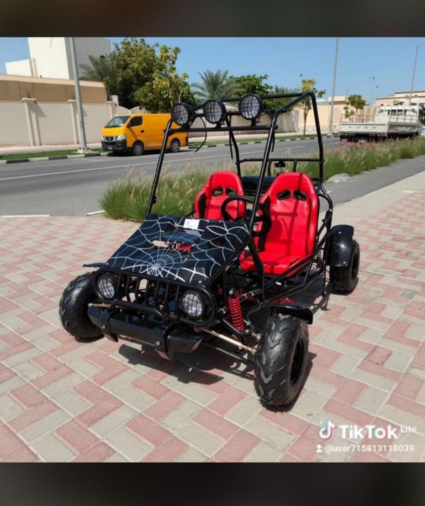 Buggy 150cc - 1
