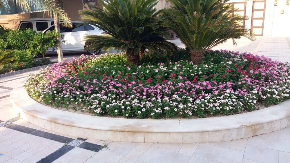 منسق حدائق 55079950 - 6
