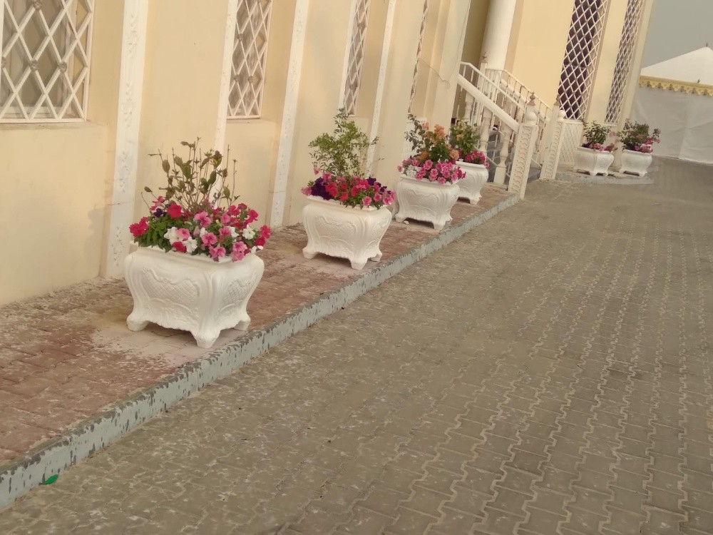 منسق حدائق 55079950 - 12