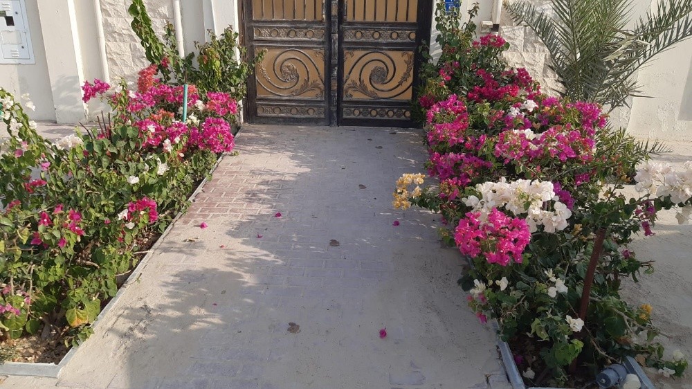 مصمم حدائق 55079950 - 2