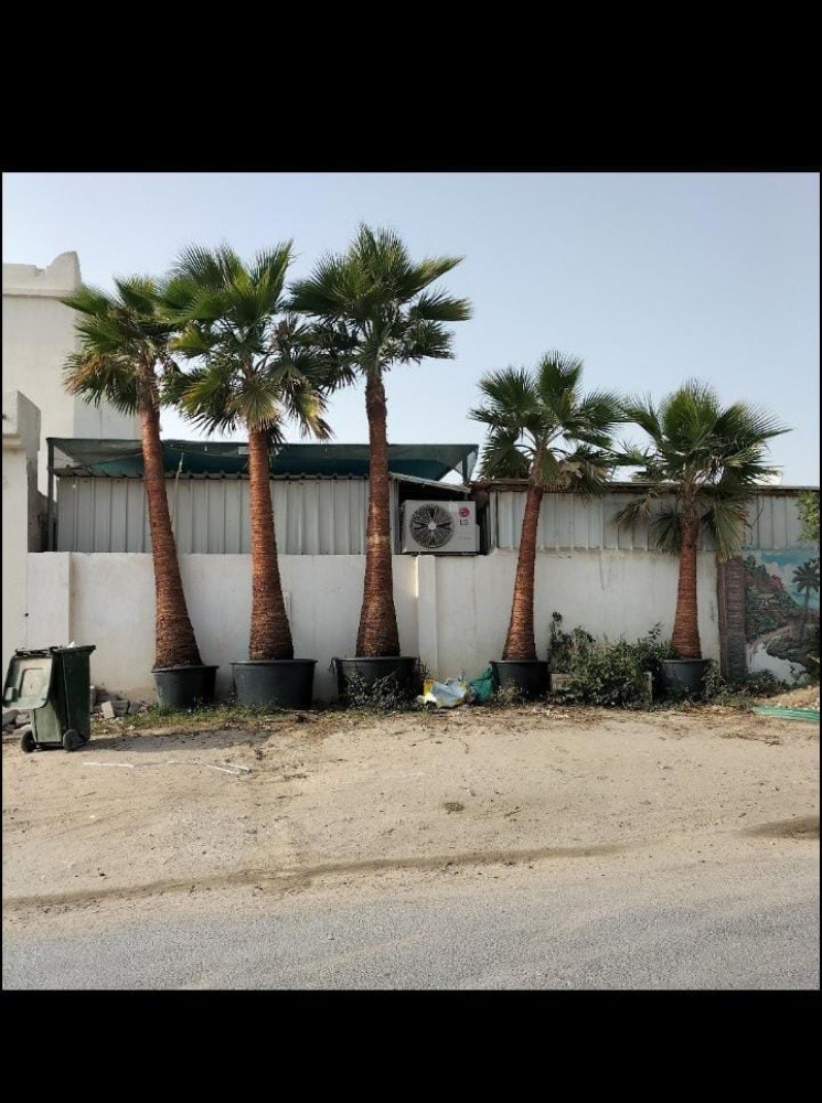 مصمم حدائق 55079950 - 8