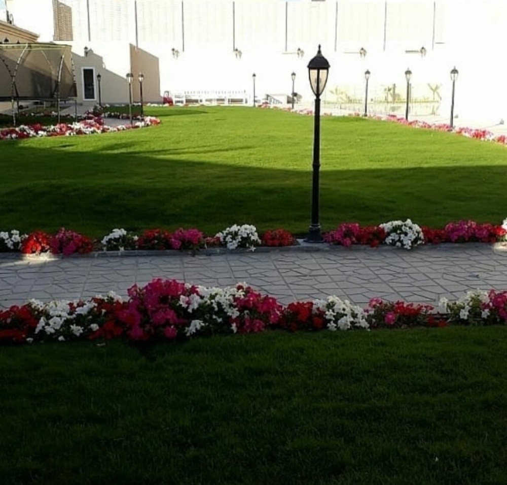 تنظيف النخيل  55079950 - 6