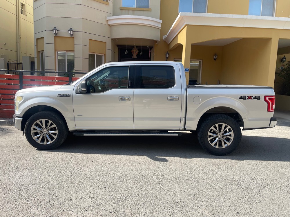 ford f 150 for sale - 8
