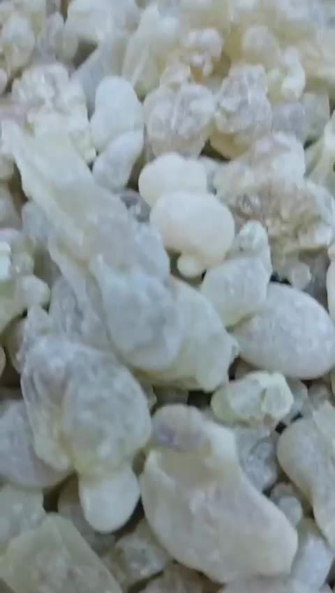البان الحوجري الاصلي - 1