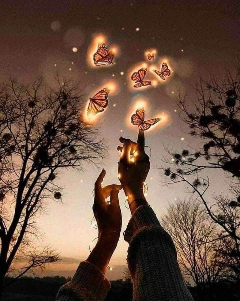 مس فاطمه - 1