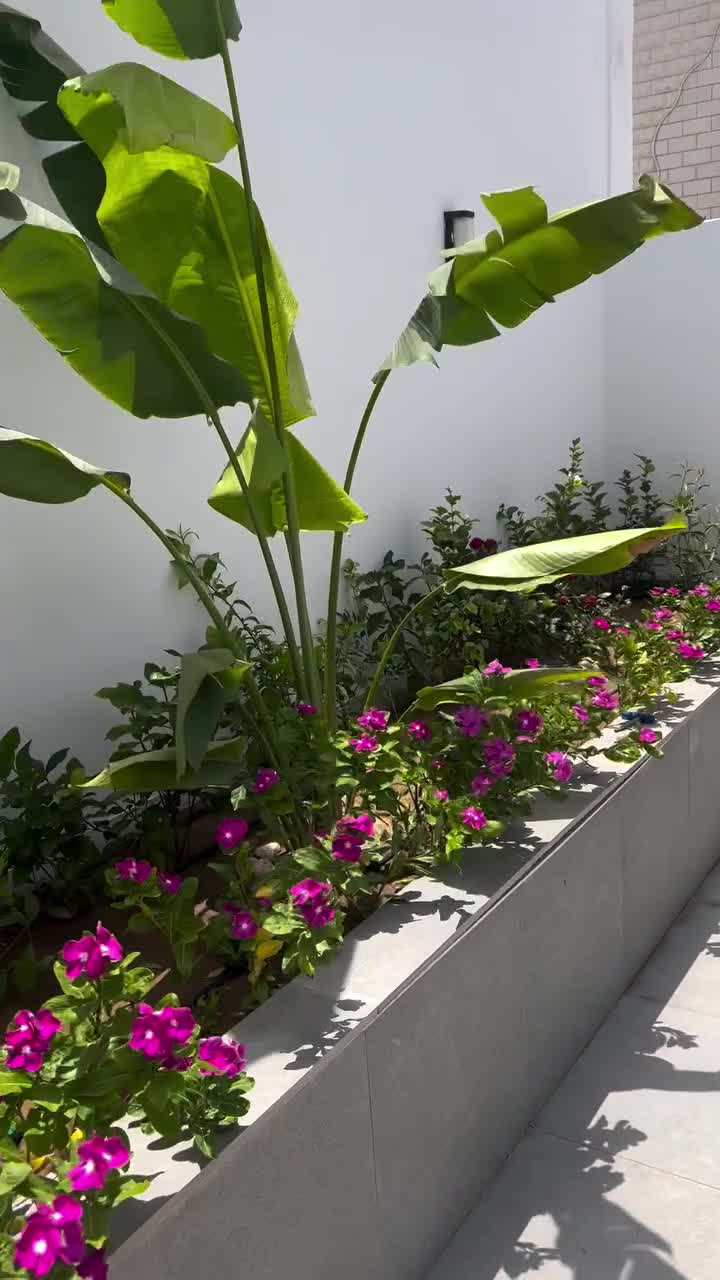 مزارع - 1