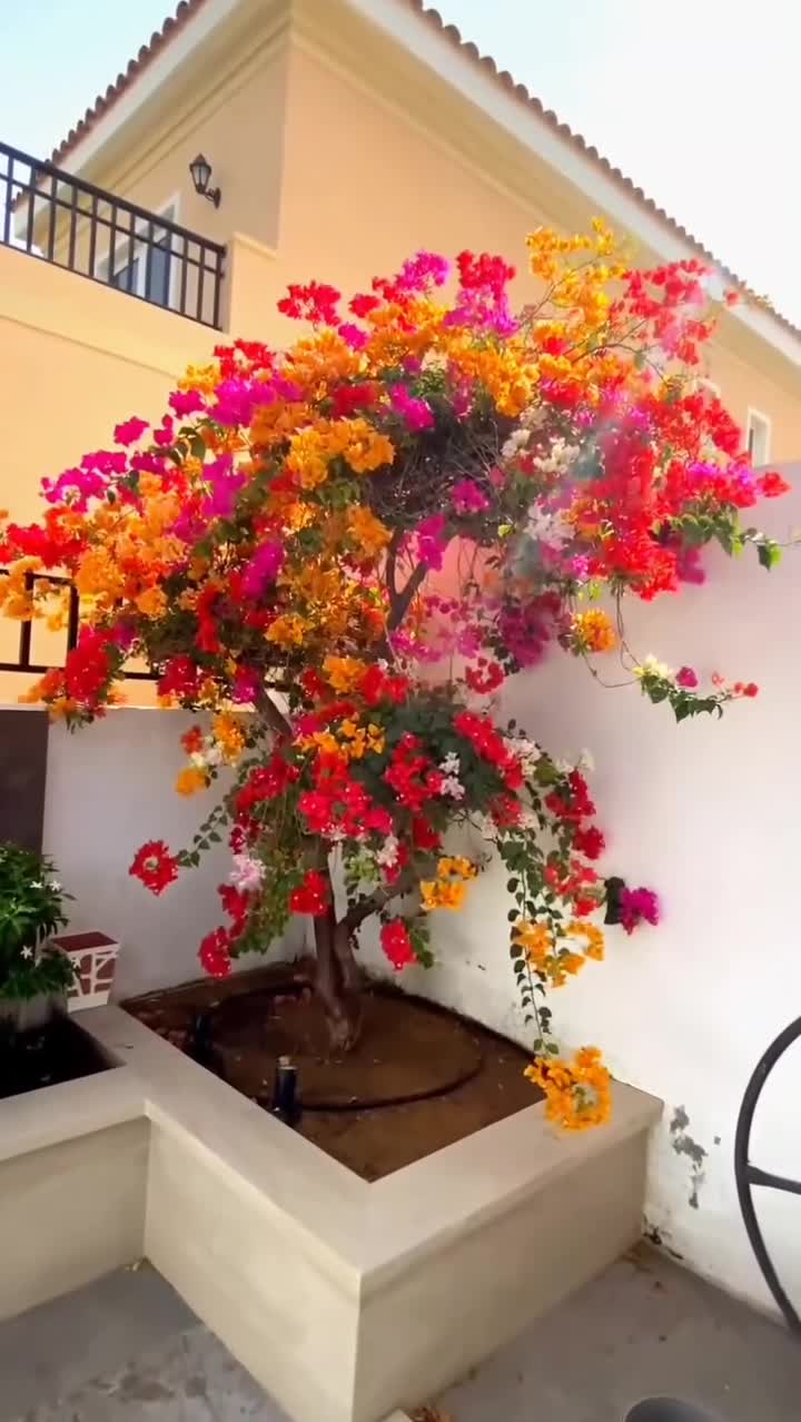مزارع ومنسق حدائق - 1