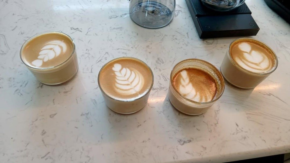 Barista - 4