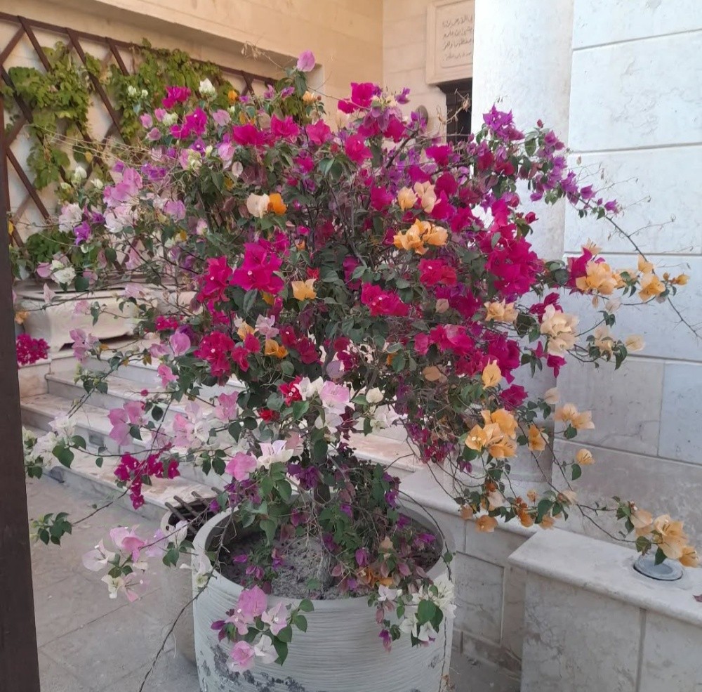 أحواض زراعه - 4