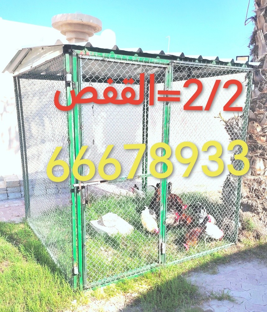 2/2=القفص - 3