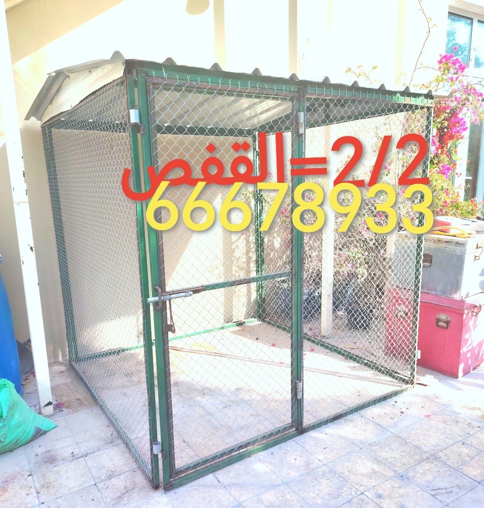 2/2=القفص - 1