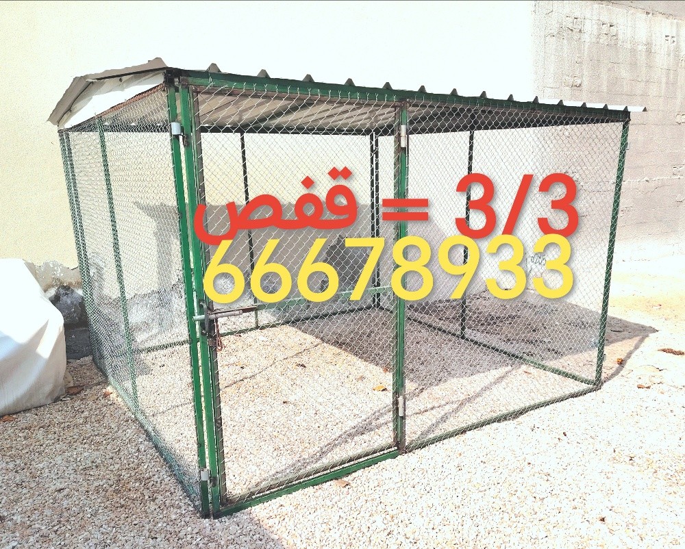 3/3 =القفص - 1