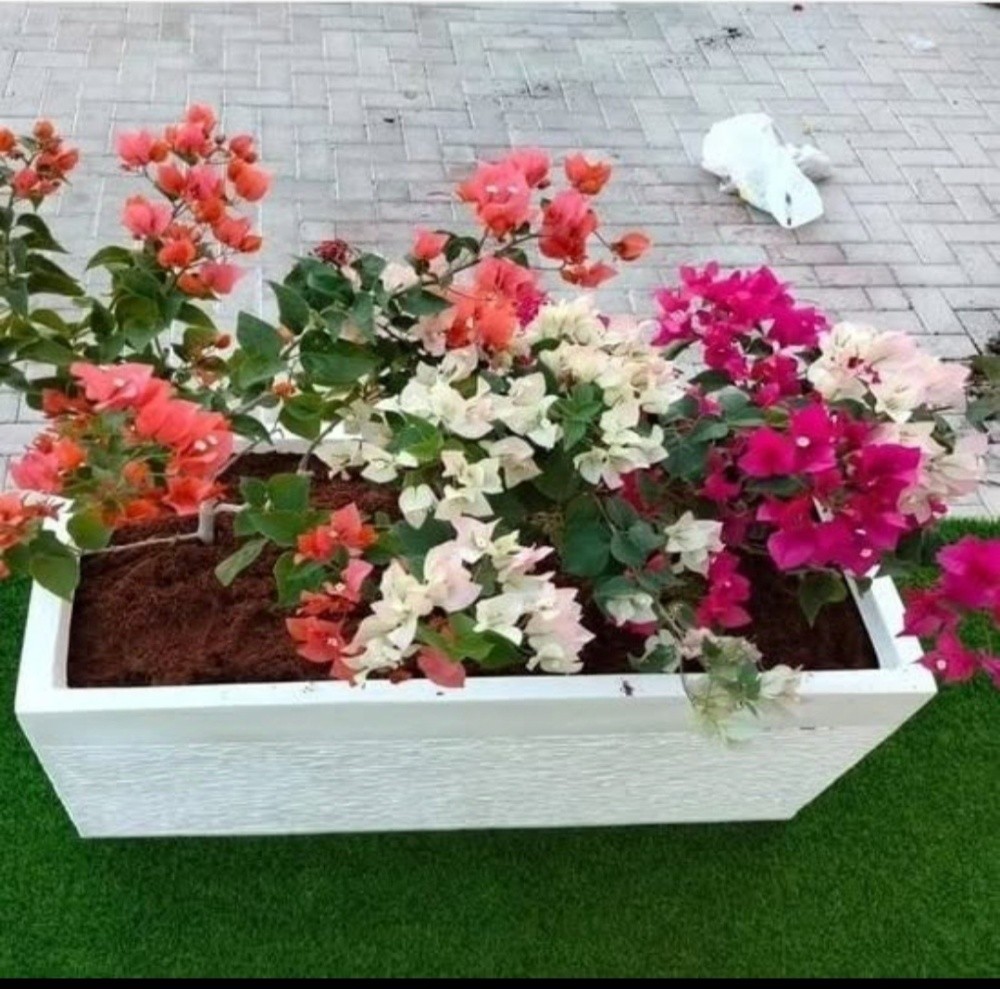 أحواض زراعه - 1