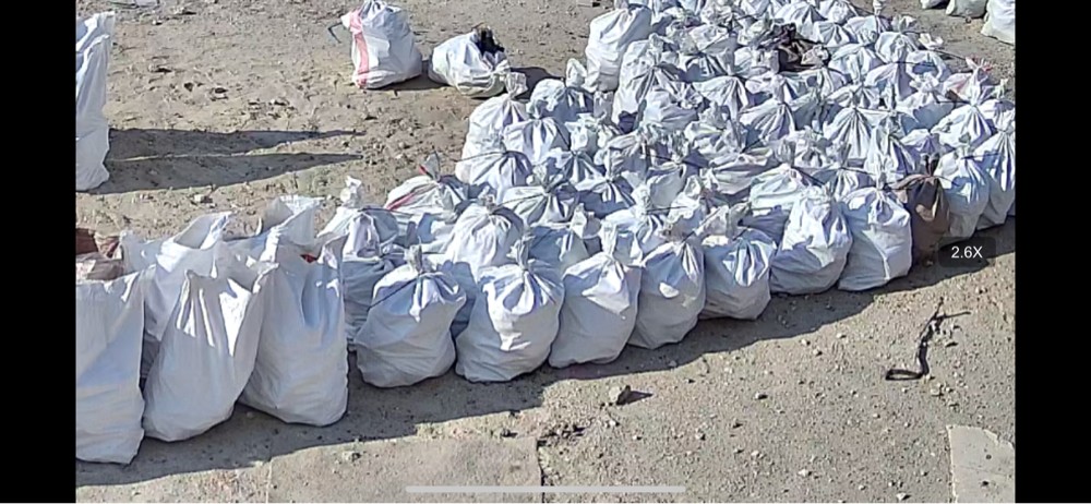 حطب زيتون تونسي - 3
