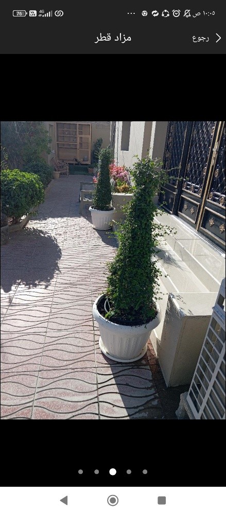 زراع - 5