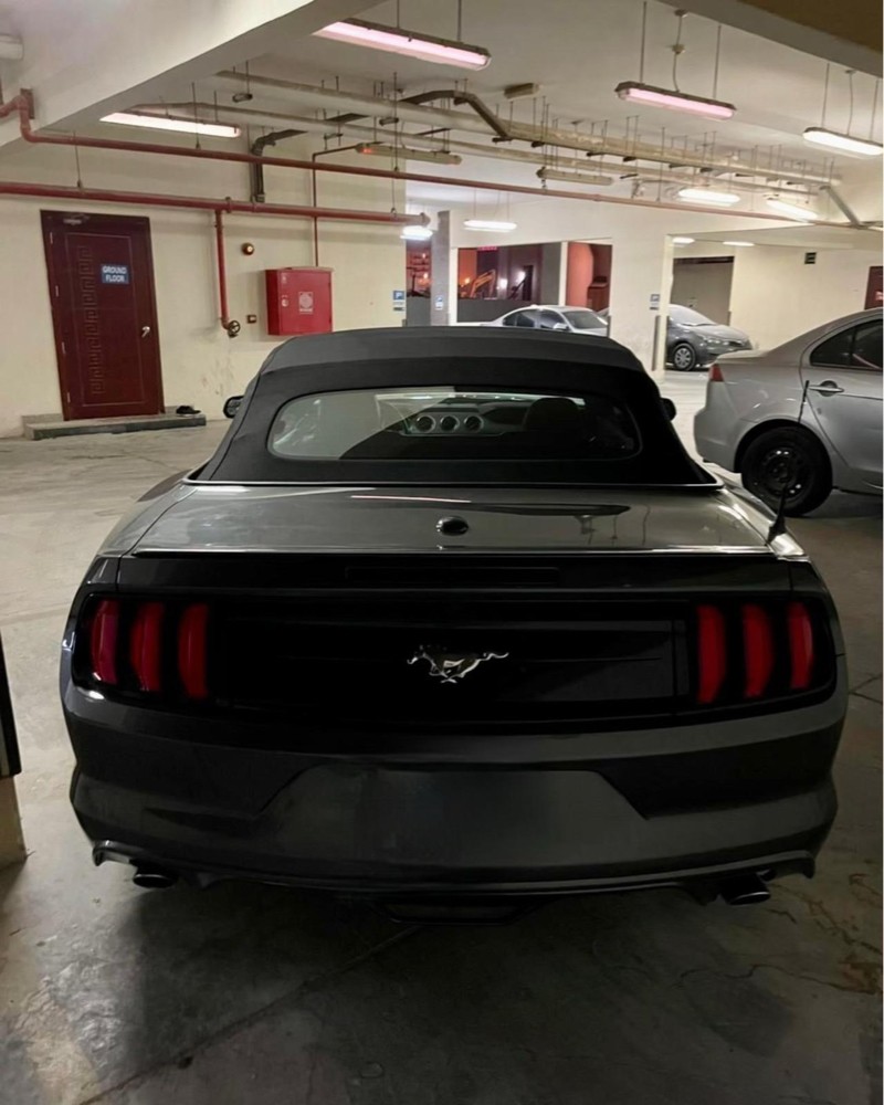 2nd owner Mustang Eco Boost 2020 - 5