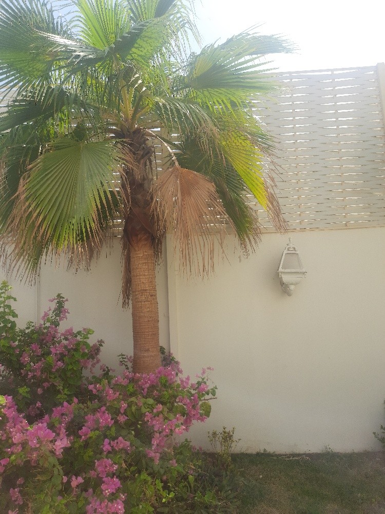 أعمال الزراعه - 2